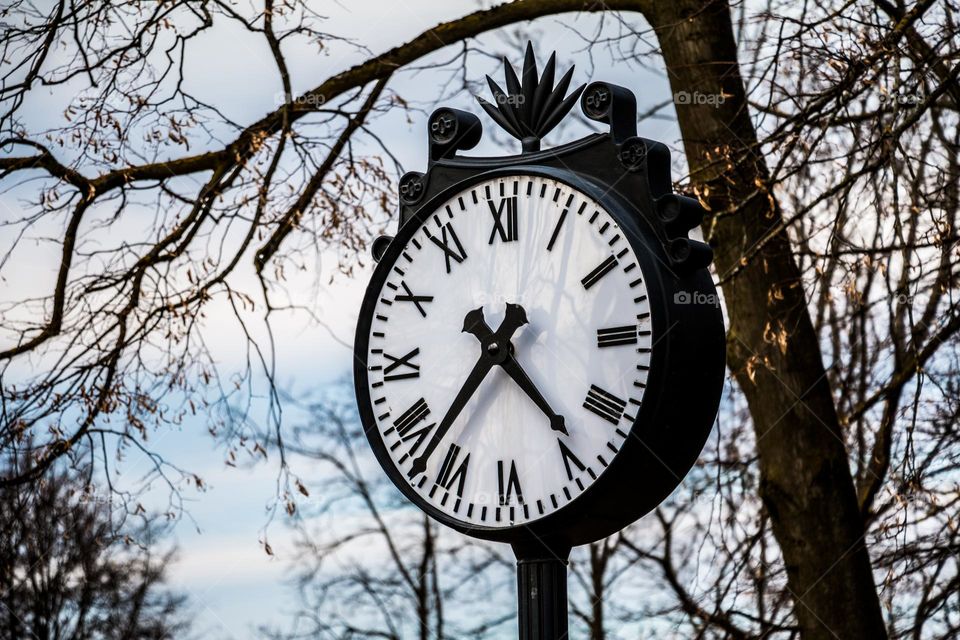 clock in park