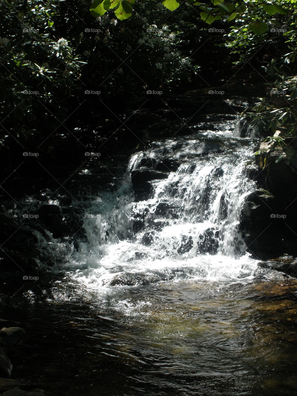 Waterfall . Waterfall at a creek