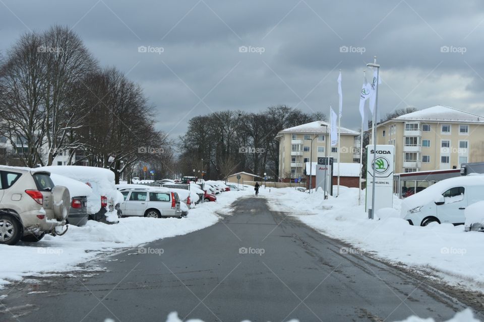 Winter, Snow, Weather, Storm, Calamity