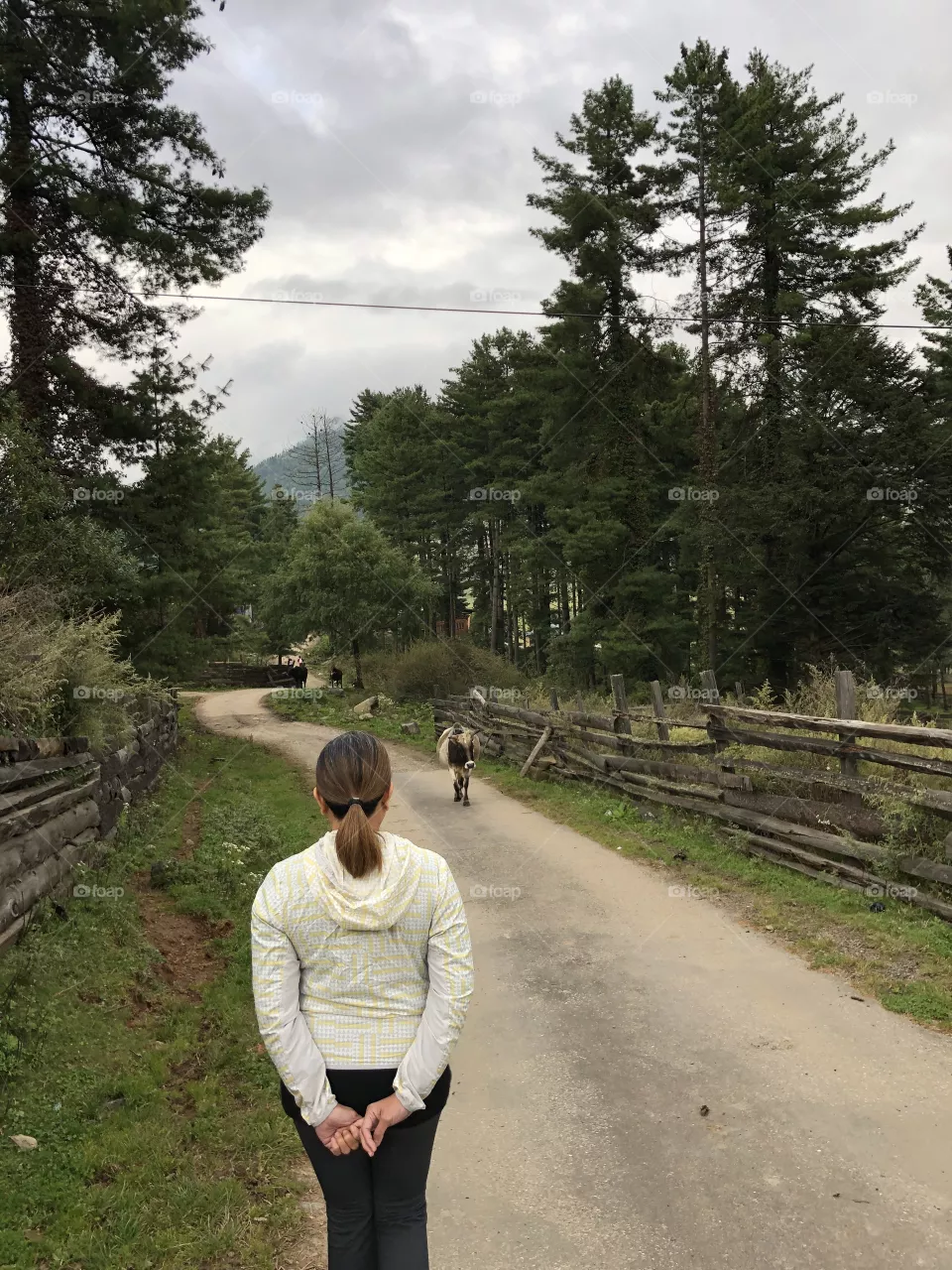 Rural scenes of bhutan