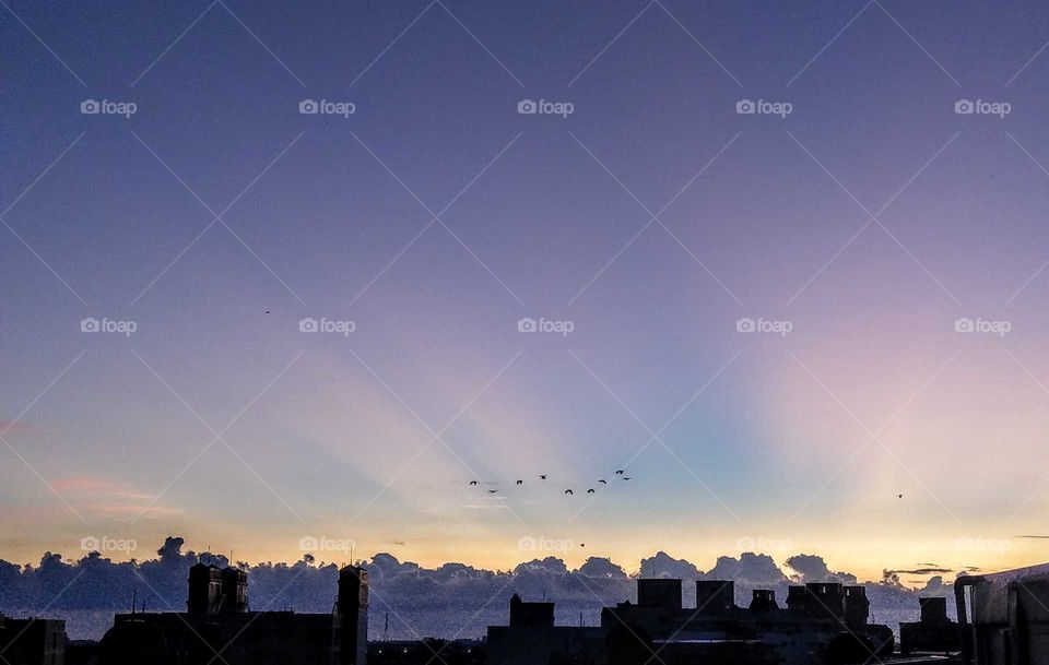 Best of the best: at dawn, all sky colors were so light, crepuscular rays with dark blue clouds, silhouette houses, little birds were so peaceful.