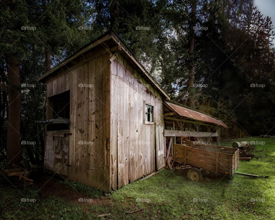 Broken house on grassy land