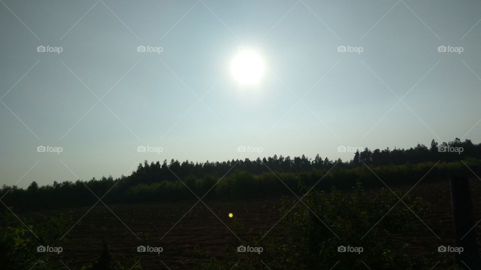 Best photo of beautifull sun