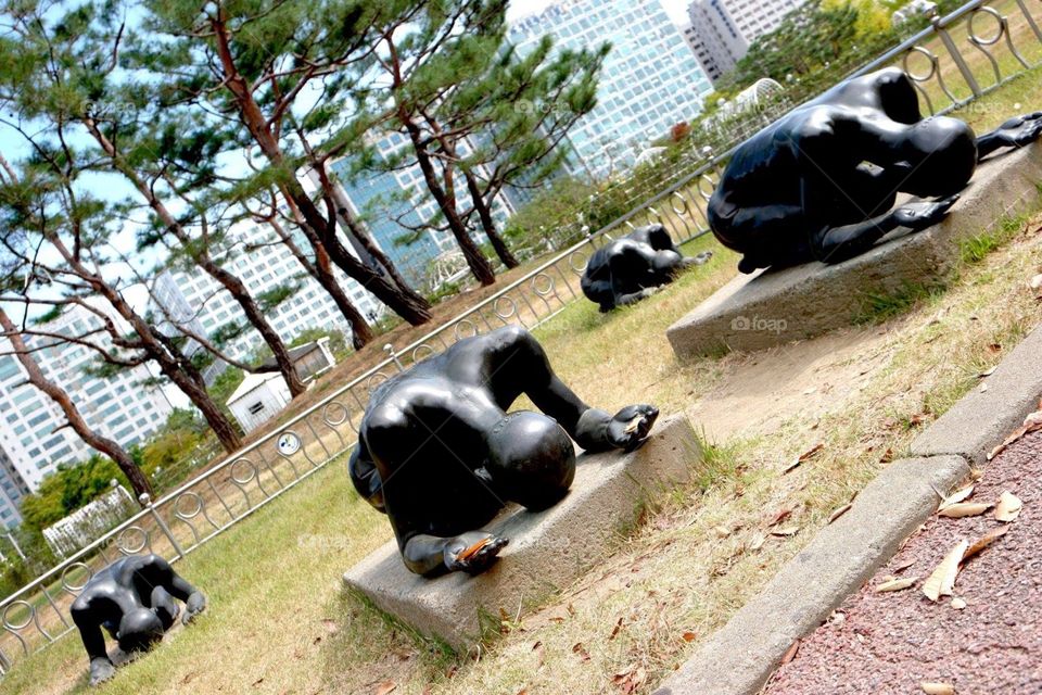 View at ilsan lake park 