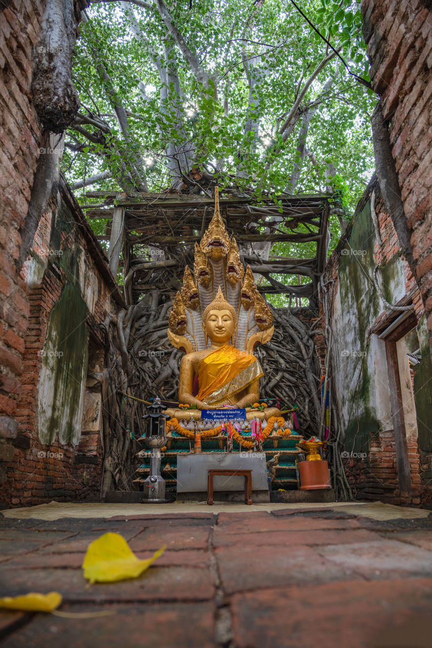 The beauty big buddha in Thailand