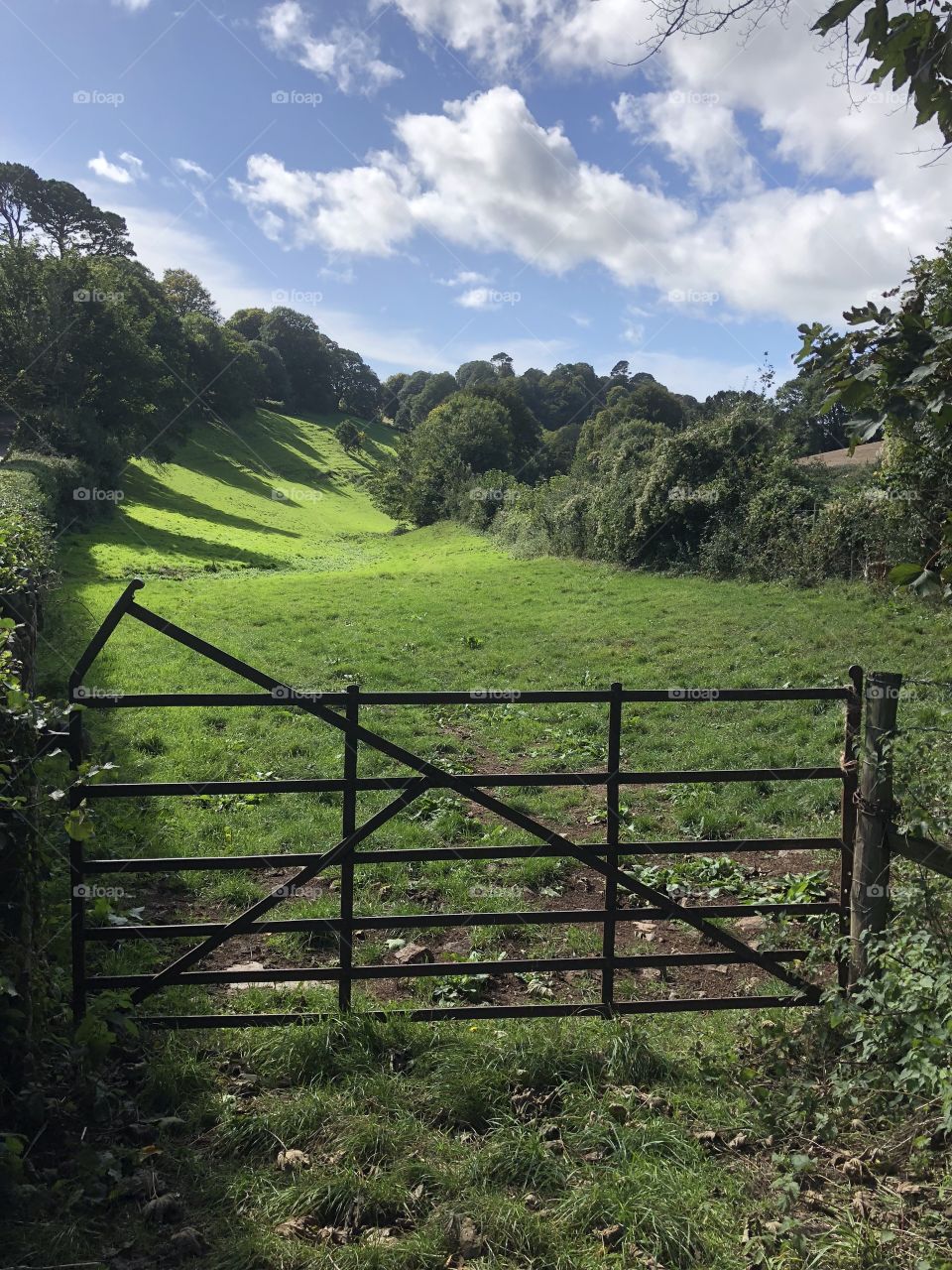 Reflections here of some beautiful Devon rolling stock in the heart of the countryside.