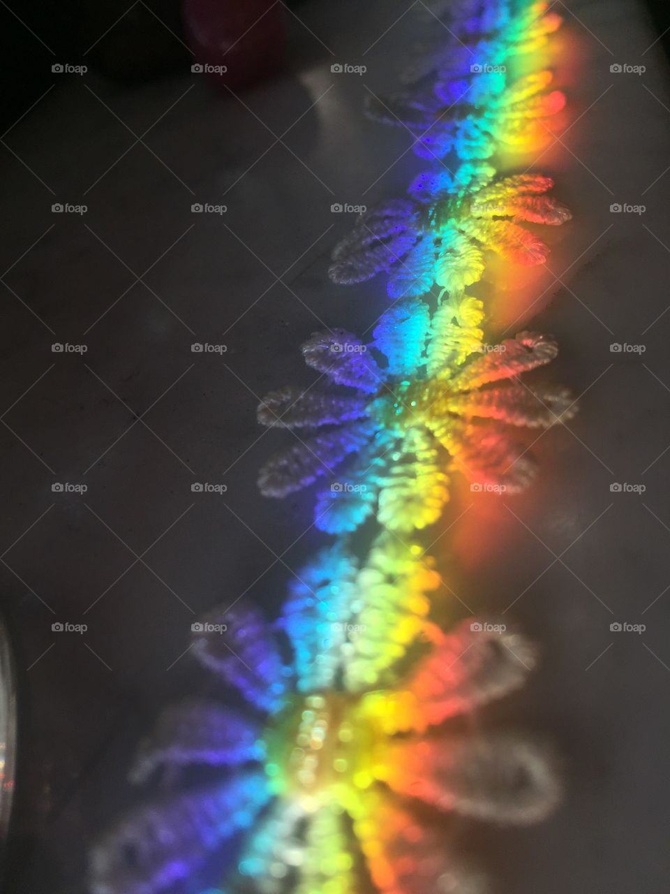 Oops - D a i s y🌼