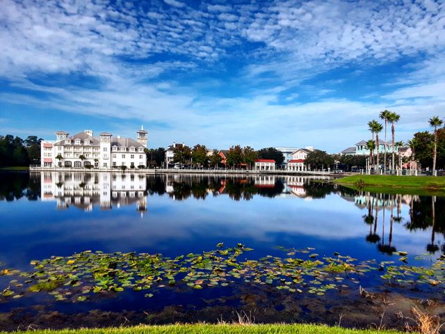 Pond view