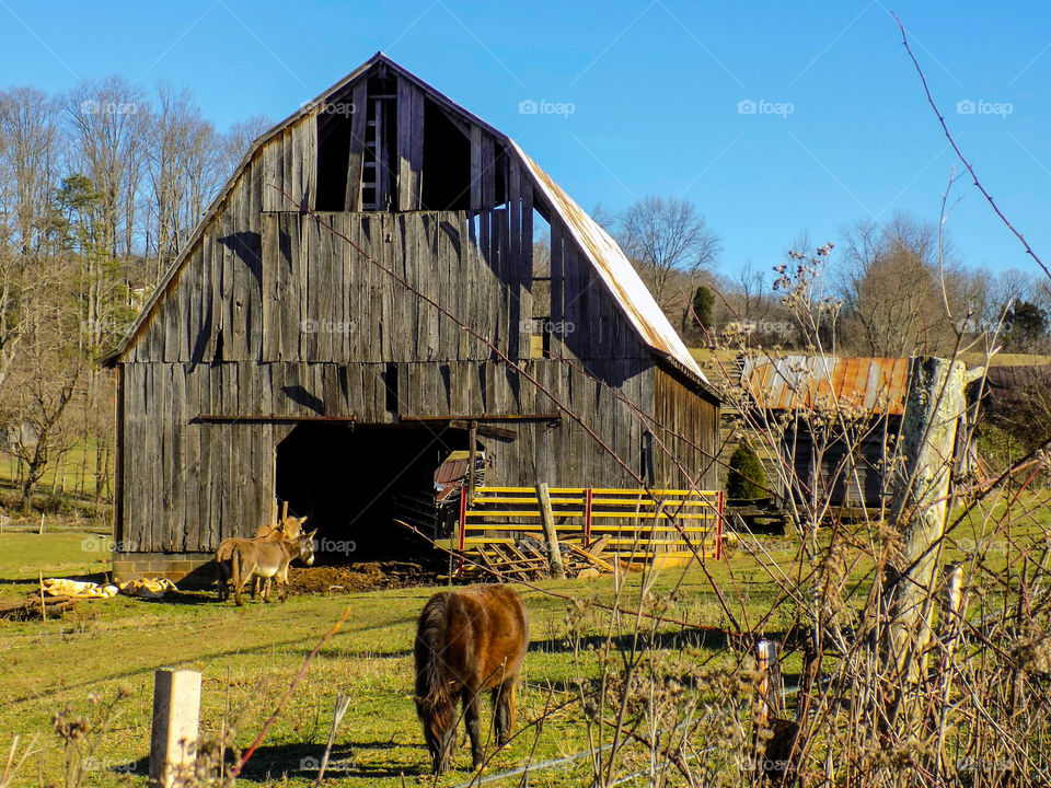 Barn in the country