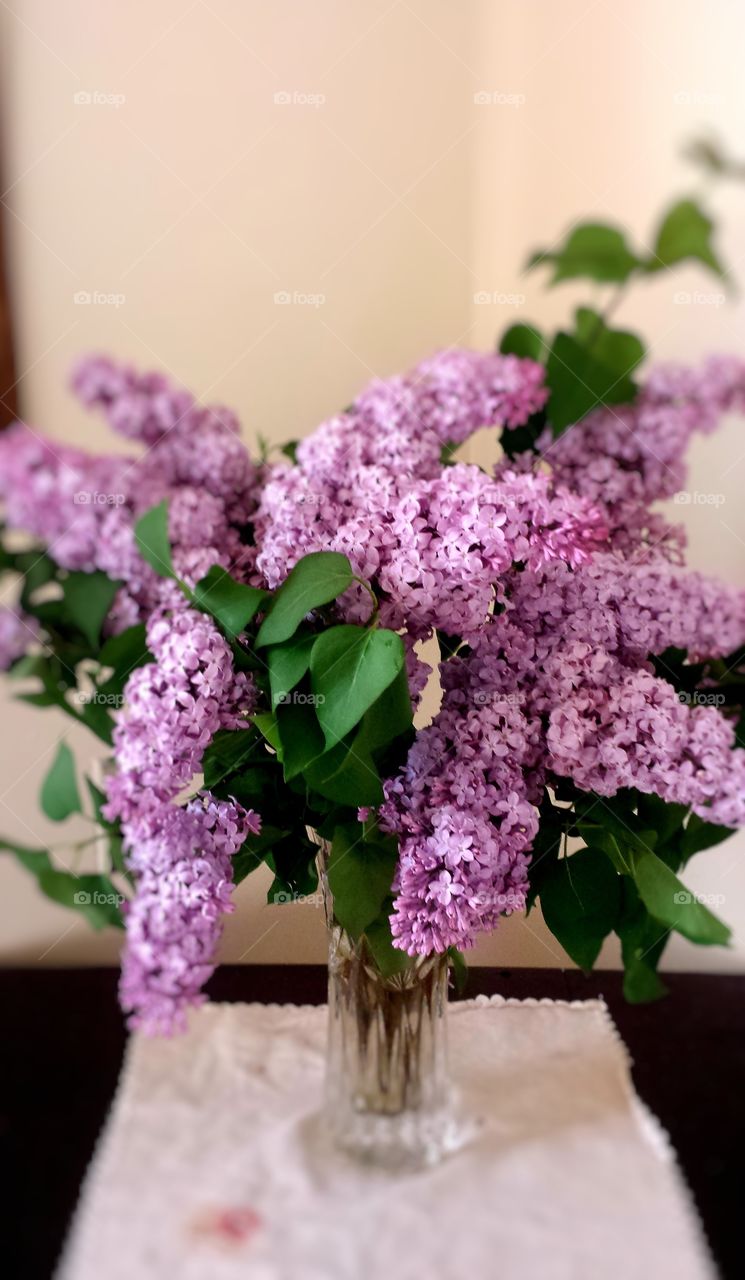 Lilacs