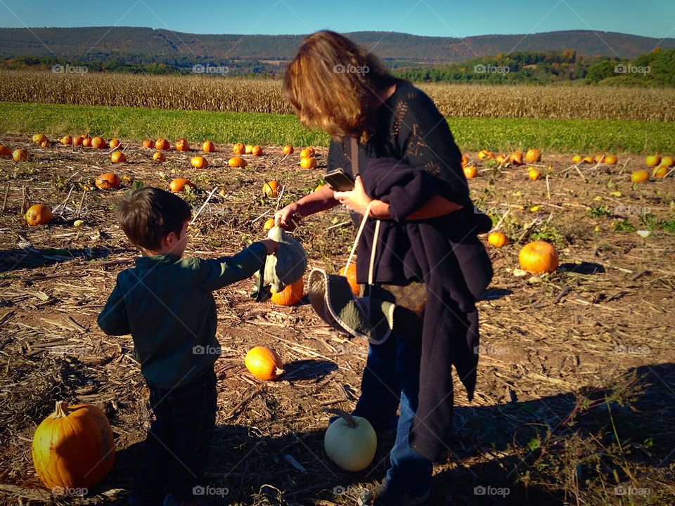 Pumpkin Picking