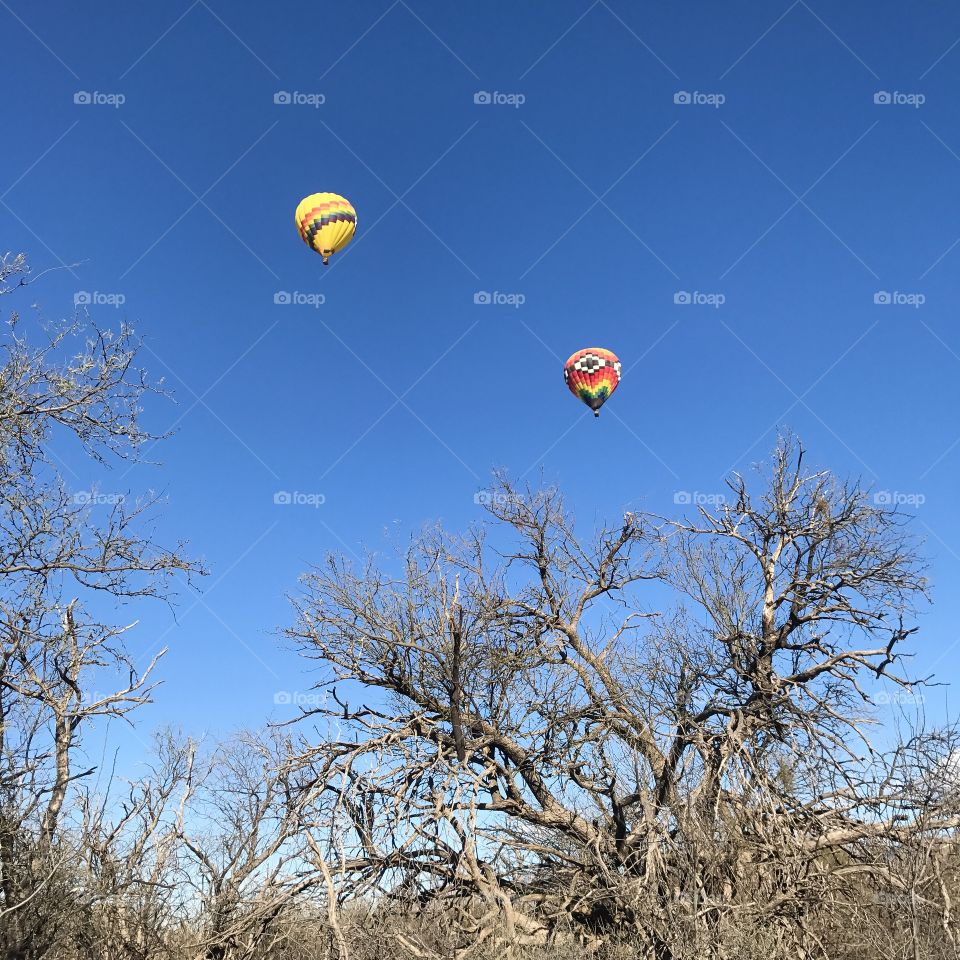 Fall Nature Landscape - Hot Air Balloons 