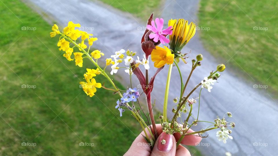 Person holding flowers in hand