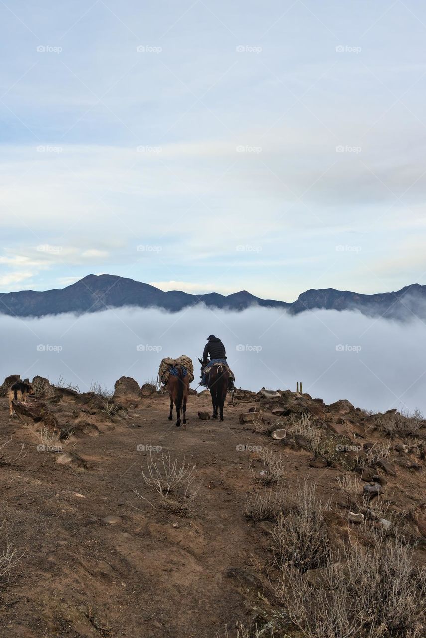 Person riding a beast of burden on the cloudy winter horizon.