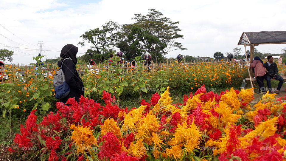 jangan rusak kebahagiaan orang lain, karna kita juga punya kebahagiaan kita sendiri