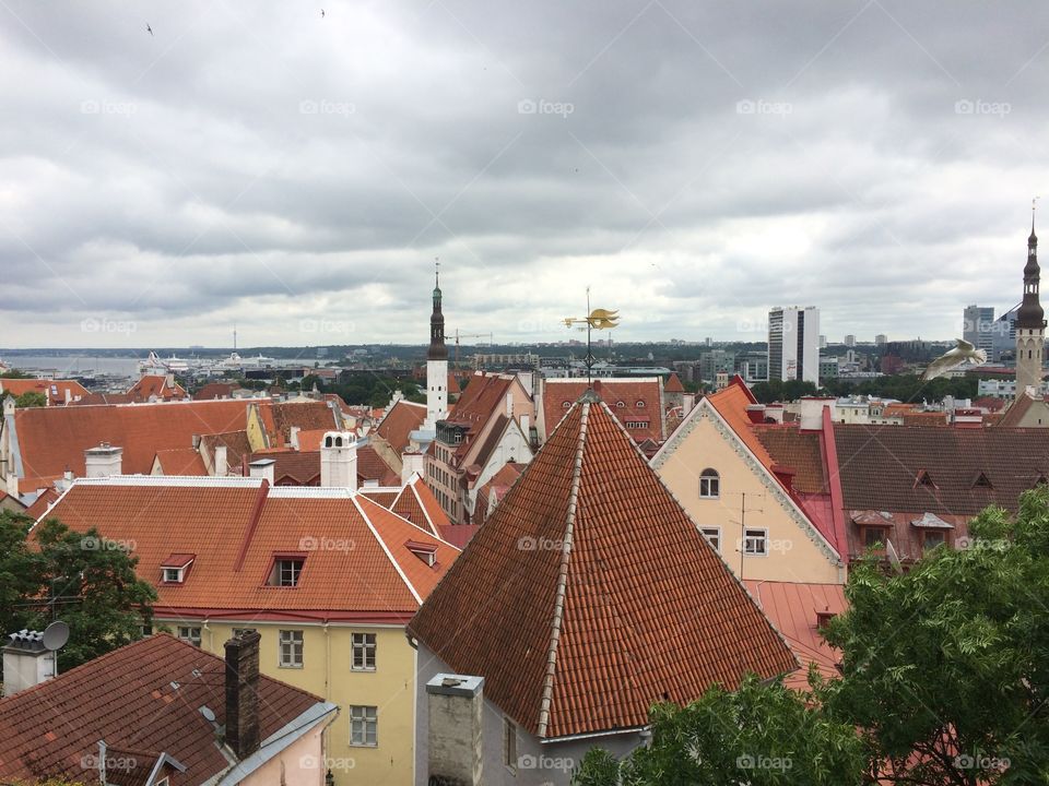 Tallinn