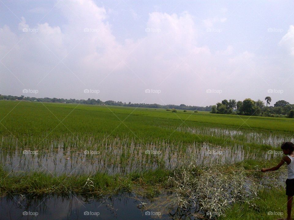 Water, Landscape, Lake, Reflection, Agriculture