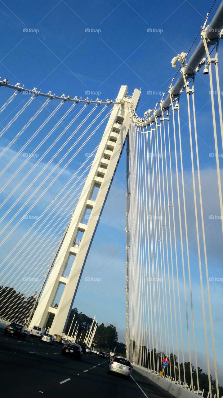 bay bridge