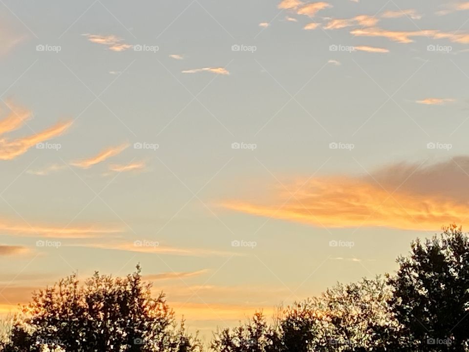 A morning sky at dawn with fluffy orange clouds against a blue sky just above a tree line 