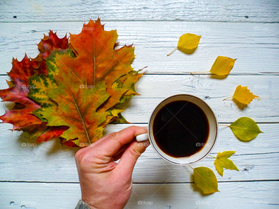 Person holding coffee cup with autumn leaves