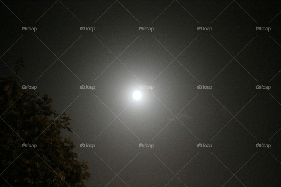 Beautiful moon night