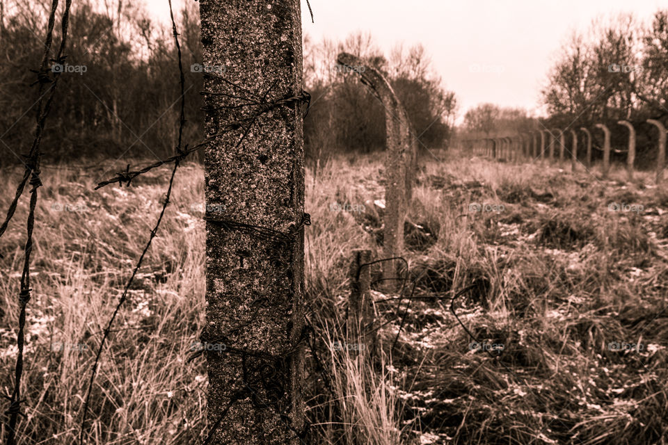 Concret pillars. Old concrete fence in the death camp