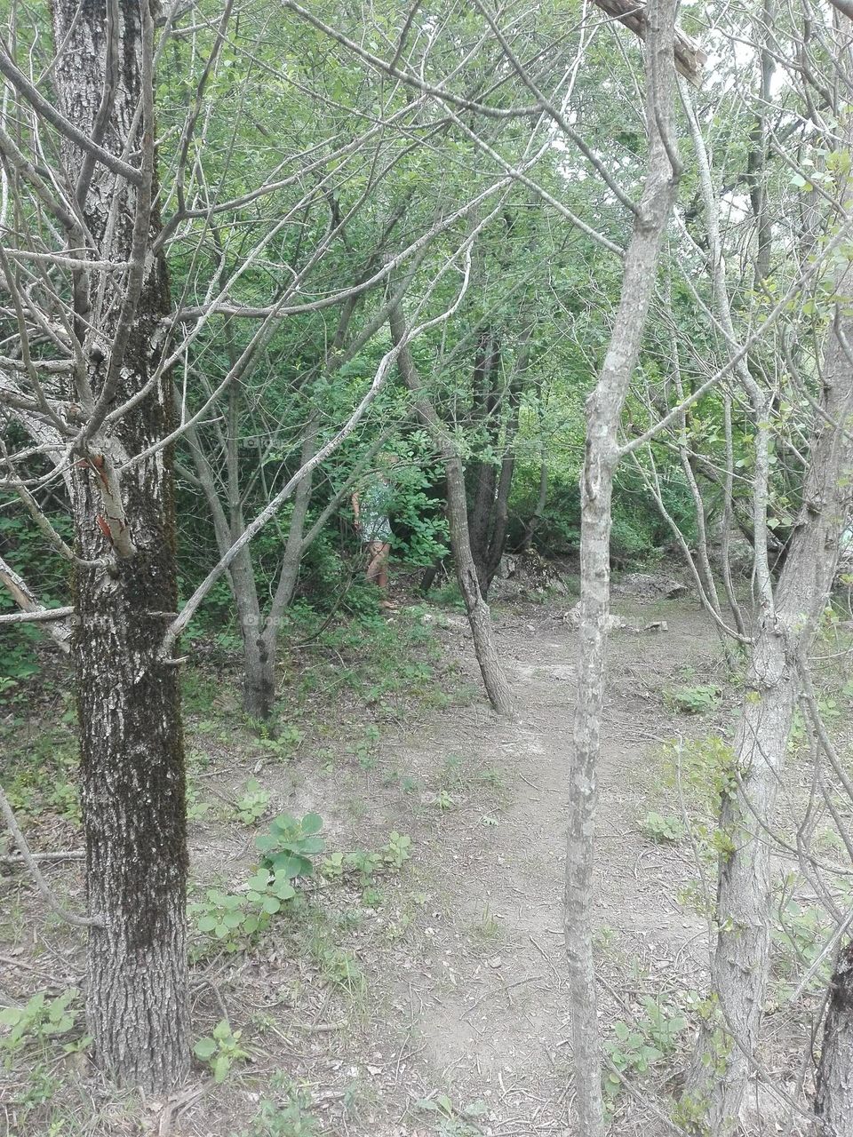 The gorges du Verdon , Ardèche , France