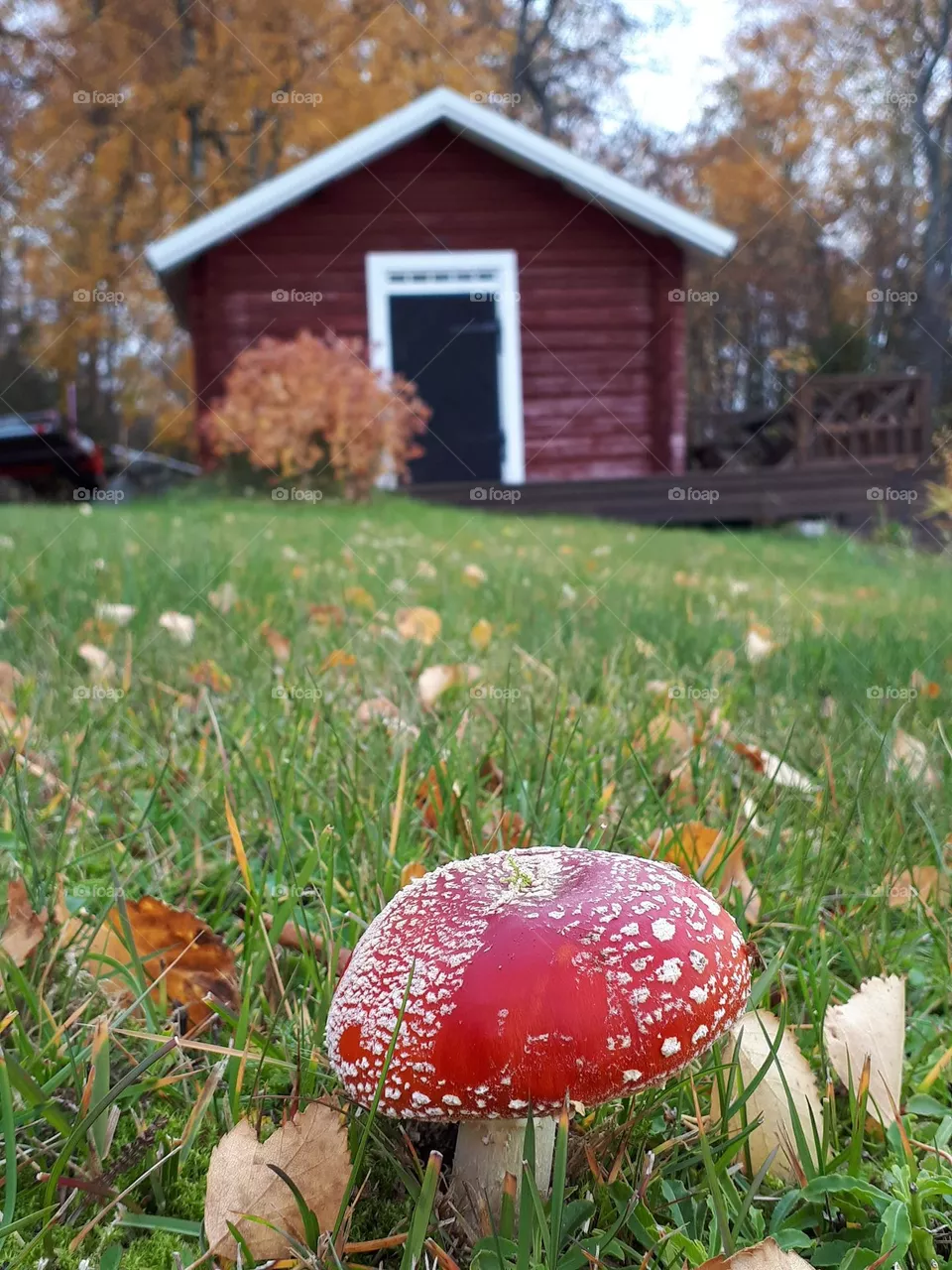 September
