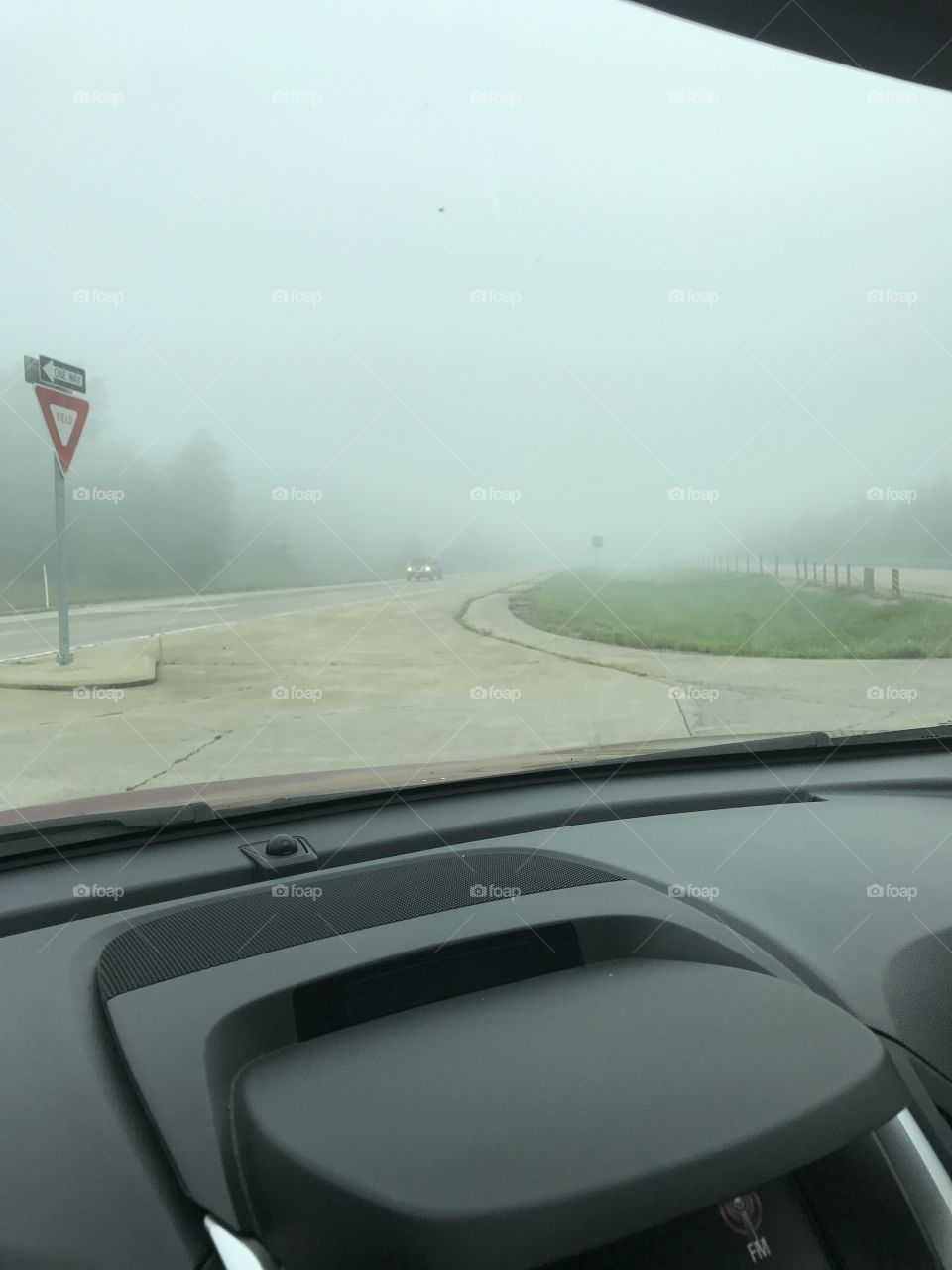 Foggy day in August