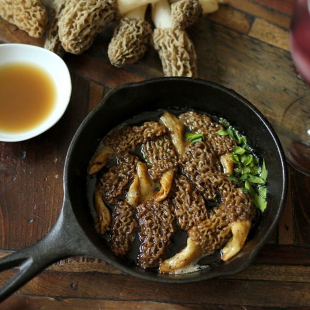 Morel mushrooms are small to large in size with caps that are oblong, cone-shaped, bulbous, or egg-shaped and are attached to short, stout stems. The cap averages 2-7 centimeters in diameter and ranges in color from blonde, light brown, grey,to dark.