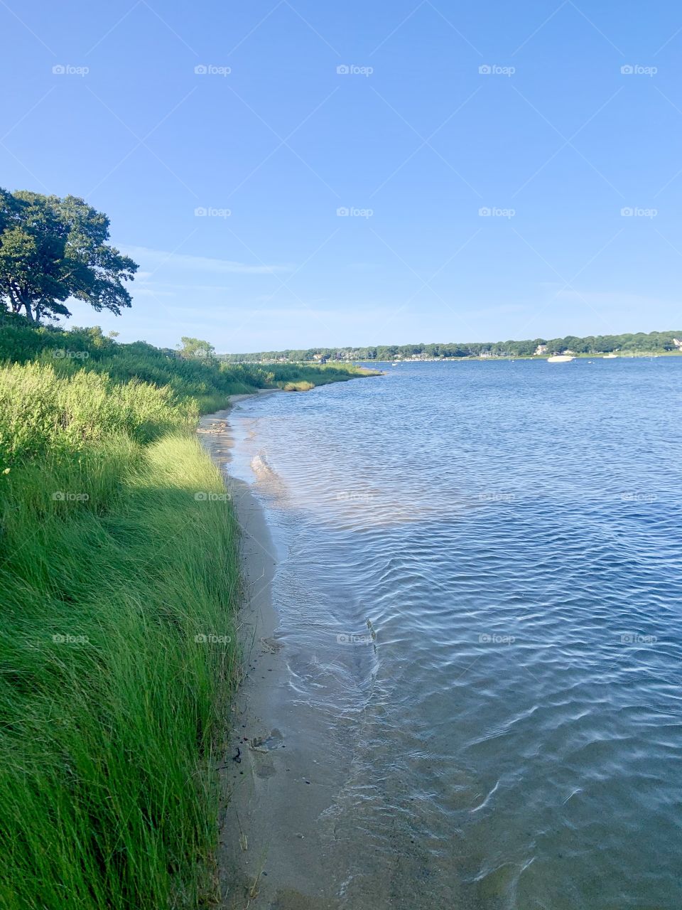 Exploring Cape Cod Beach