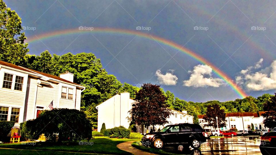 Rainbow, No Person, Storm, Tree, Rain