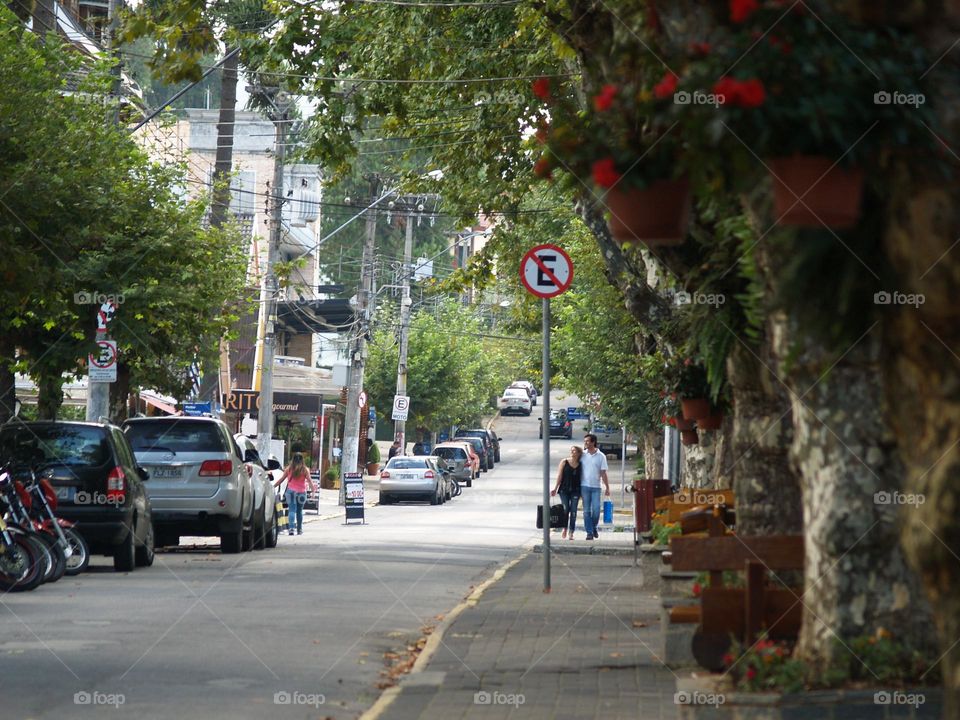 Plant in City