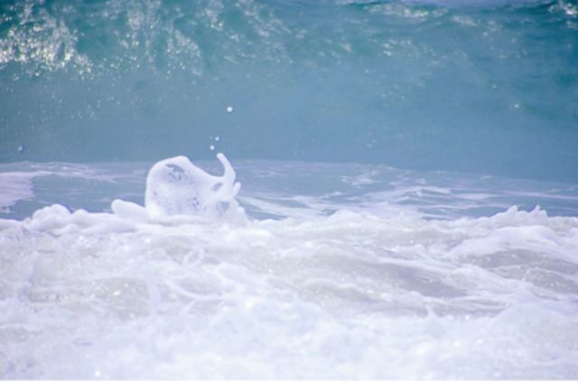 Oceanic Scenic