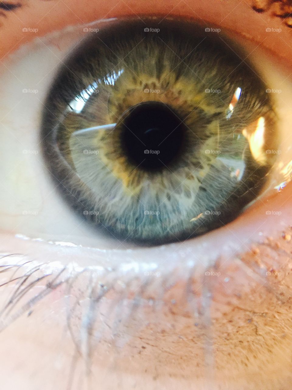 Window to the Soul