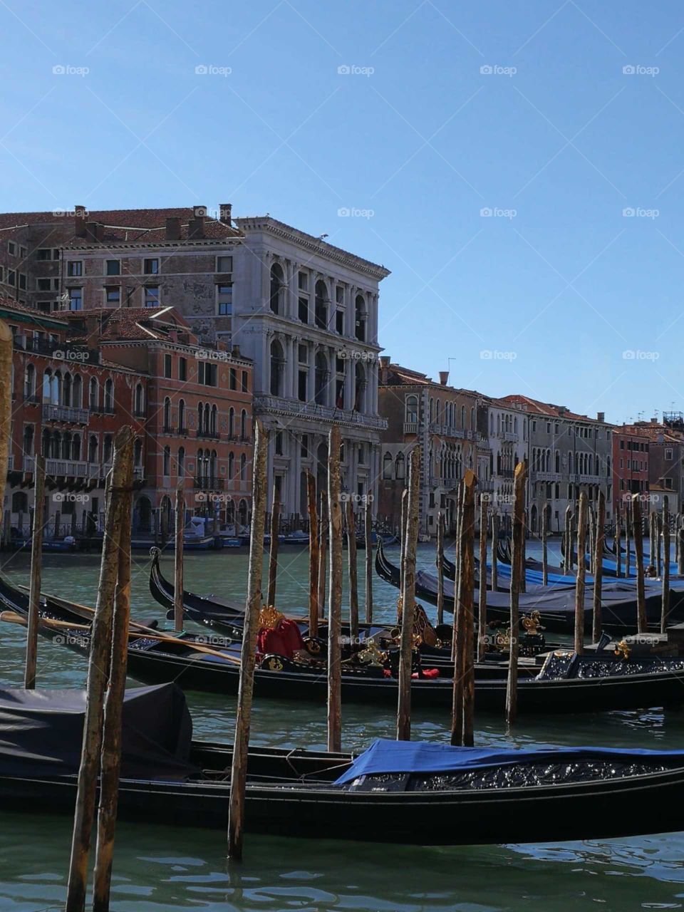 venetian gondolas and buildings.