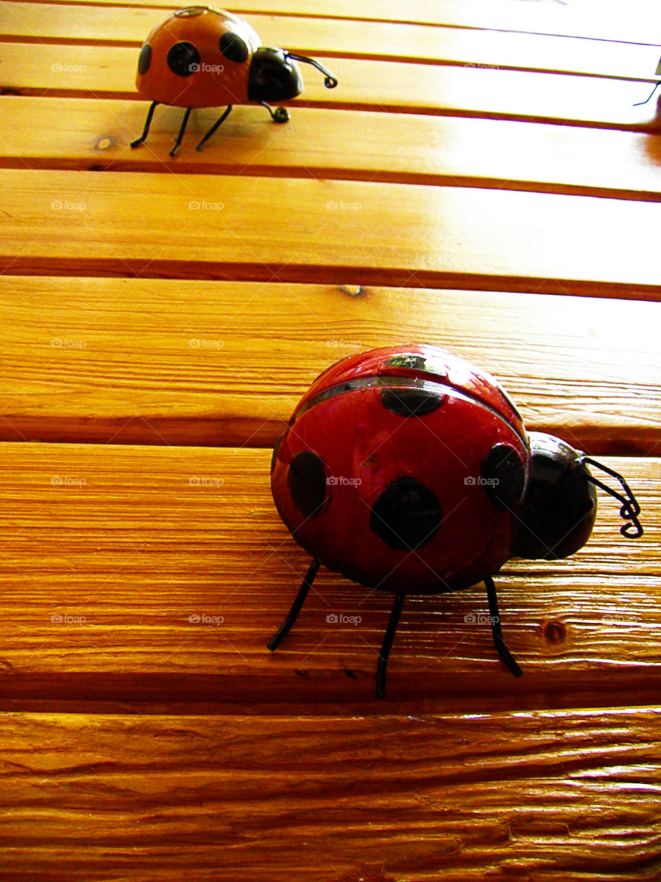 Ladybug walking on a rustic wooden floor.