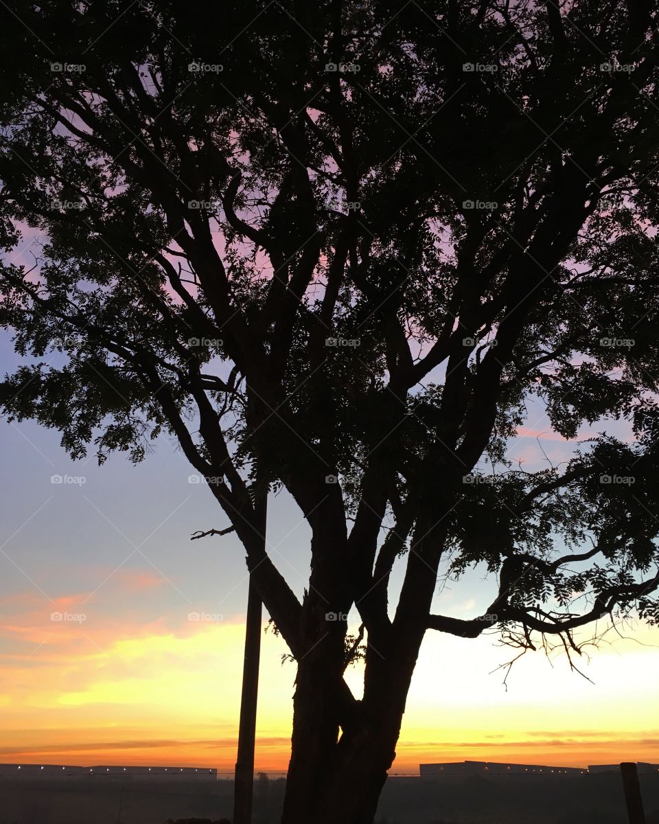 🌅Desperte, Jundiaí. 
Que a jornada diária possa valer a pena!
🍃
#sol #sun #sky #céu #photo #nature #morning #alvorada #natureza #horizonte #fotografia #pictureoftheday #paisagem #inspiração #amanhecer #mobgraphy #mobgrafia #Jundiaí #AmoJundiaí