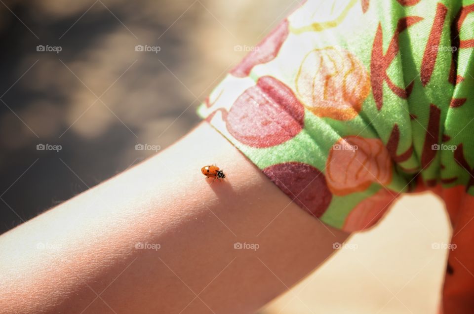 Lady bug on the arm. 