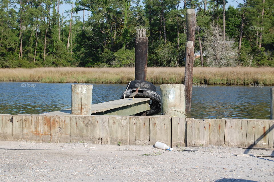 Mississippi coast