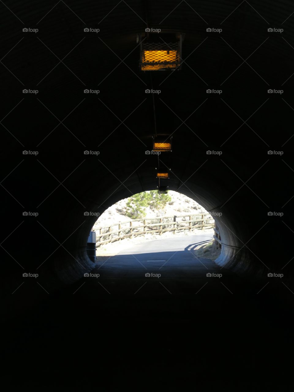 A walking tunnel under road with ceiling lights and a view of landscape ahead. 