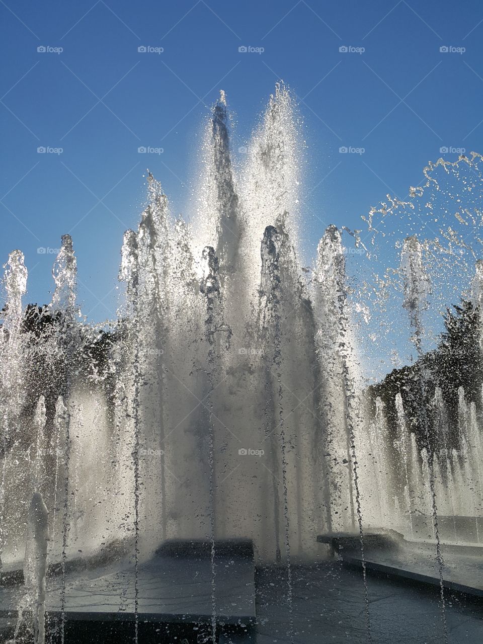fountain. city art