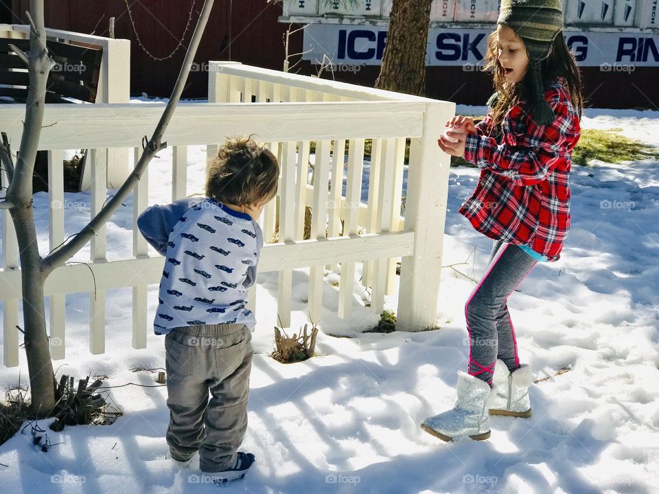 Sissy and Bud playing beside the white fence. 