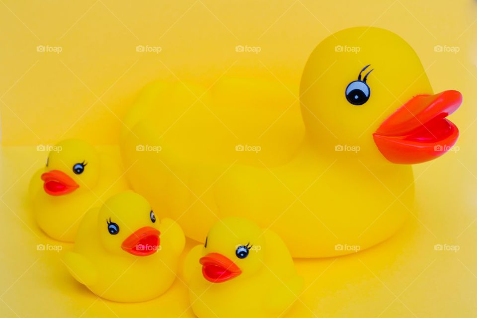 Mother rubber duck and three baby rubber ducklings on a bright yellow background