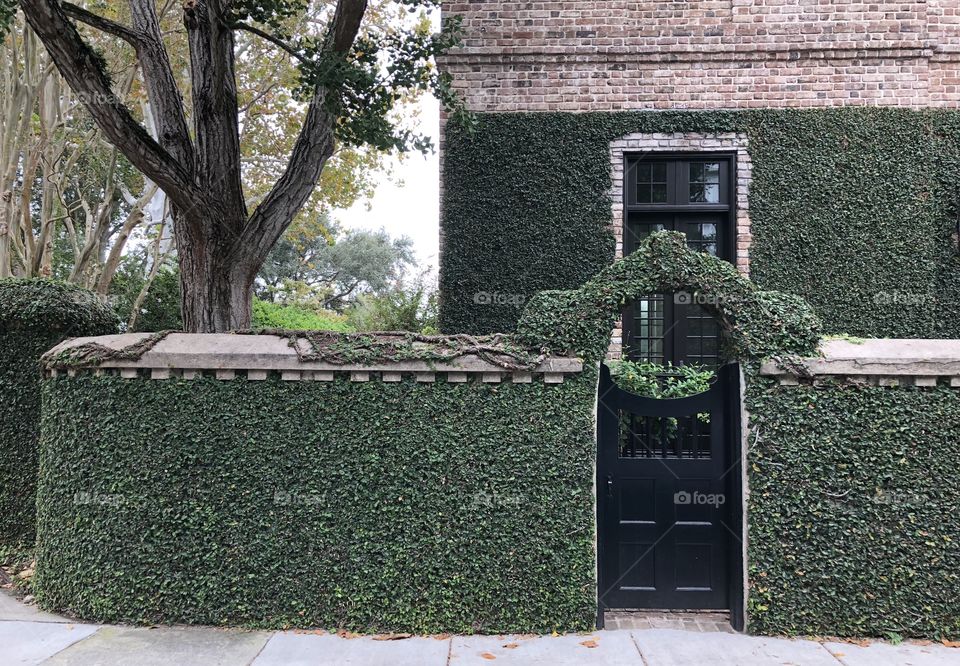 Architectural doors and landscaped wall