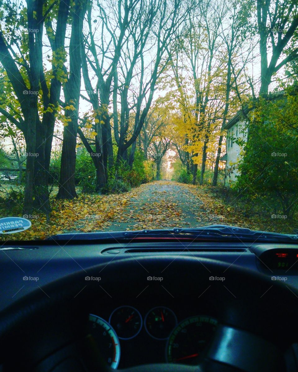 a golden road to explore