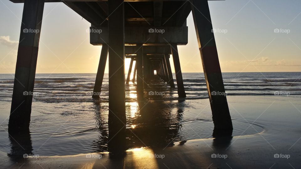 Under the Pet Pier