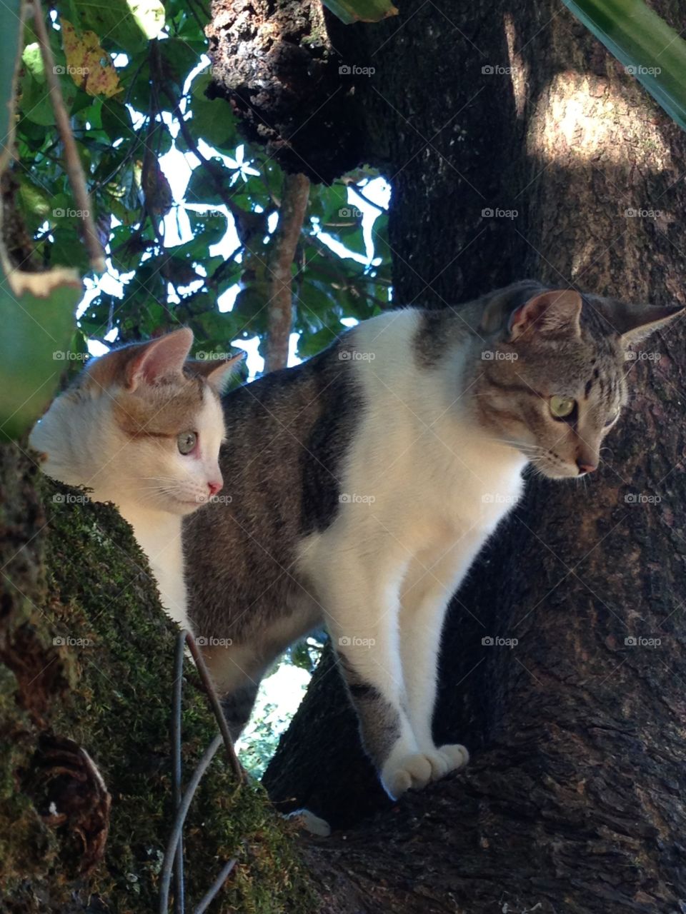 "What's going on there?"
"I'm not sure, maybe a party"