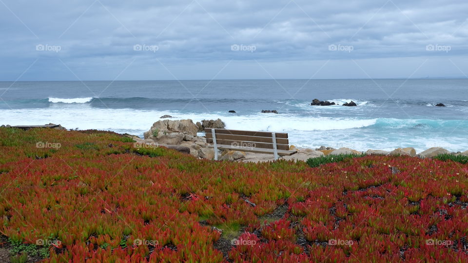 A beautiful place for contemplation after a nice long walk along the shore in Monterey, California.