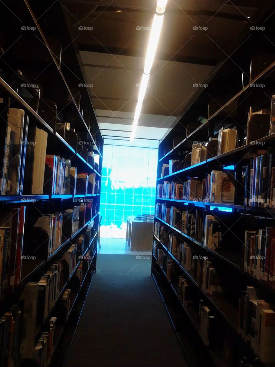 Aisles in library looking towards across the street.